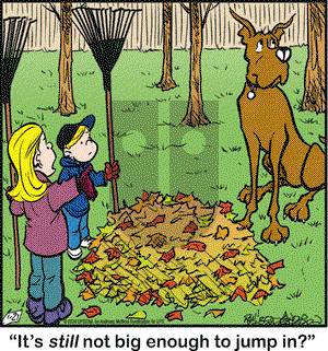 Marmaduke on Tuesday January 21, 2020 Comic Strip