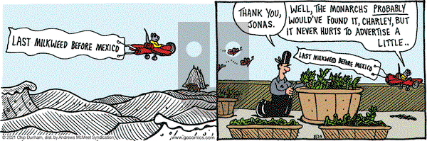Overboard on Tuesday August 24, 2021 Comic Strip