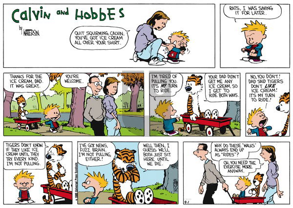 Calvin and Hobbes on Sunday November 3, 1991 Comic Strip