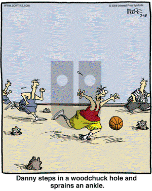 In the Bleachers on Thursday March 18, 2004 Comic Strip