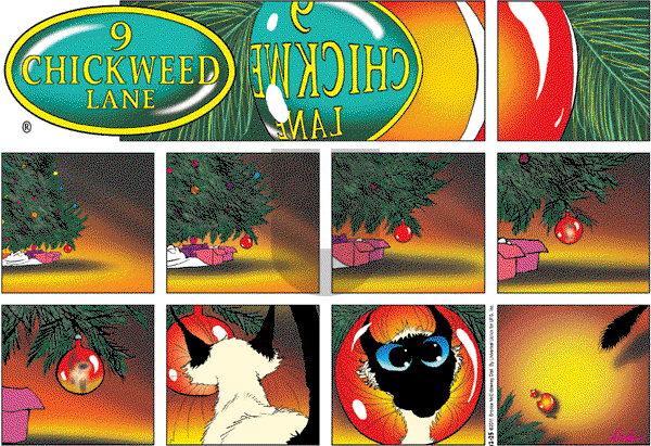 9 Chickweed Lane on Sunday December 25, 2011 Comic Strip