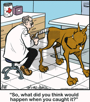 Marmaduke on Friday February 8, 2019 Comic Strip
