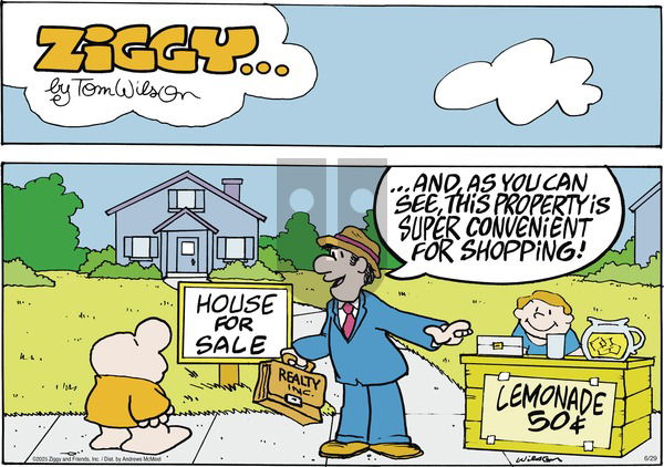 Ziggy on Sunday June 29, 2025 Comic Strip