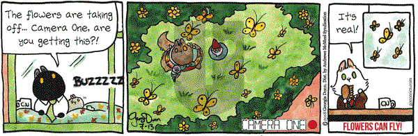 Breaking Cat News on Friday July 13, 2018 Comic Strip
