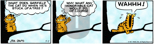 Garfield on Tuesday July 7, 1981 Comic Strip