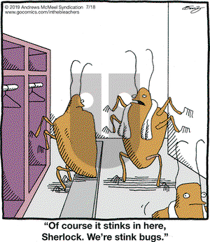 In the Bleachers on Thursday July 18, 2019 Comic Strip