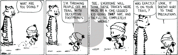 Calvin and Hobbes - Tuesday February 9, 1993 Comic Strip