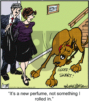 Marmaduke on Wednesday November 28, 2012 Comic Strip