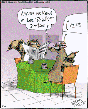 The Flying McCoys on Wednesday September 16, 2015 Comic Strip