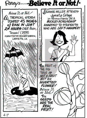 Ripley's Believe It or Not on Wednesday April 7, 2004 Comic Strip