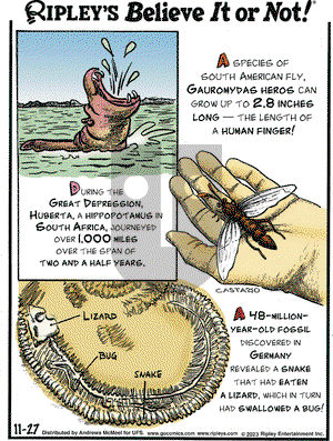 Ripley's Believe It or Not - Monday November 27, 2023 Comic Strip