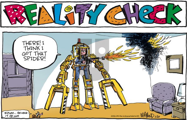 Reality Check on Sunday November 20, 2016 Comic Strip