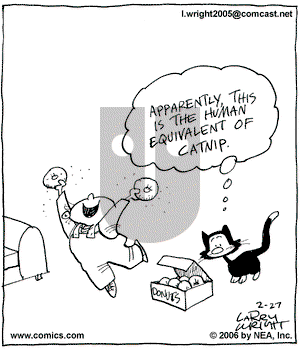 Kit 'N' Carlyle on Monday February 27, 2006 Comic Strip
