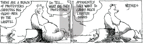 The Grizzwells on Thursday August 28, 2008 Comic Strip