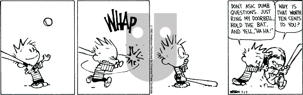 Calvin and Hobbes - Saturday July 17, 1993 Comic Strip