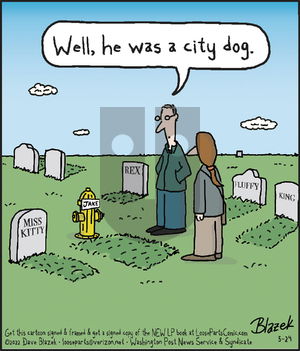 Loose Parts - Tuesday May 24, 2022 Comic Strip
