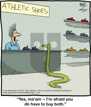 In the Bleachers on Monday February 13, 2017 Comic Strip