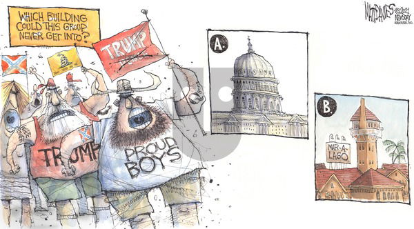 Matt Davies on Sunday January 10, 2021 Comic Strip
