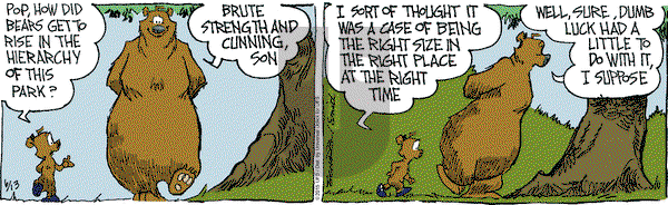 The Grizzwells on Saturday June 13, 2015 Comic Strip