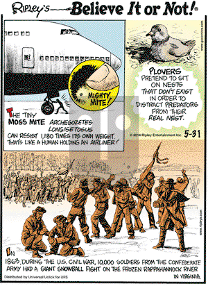 Ripley's Believe It or Not on Saturday May 31, 2014 Comic Strip