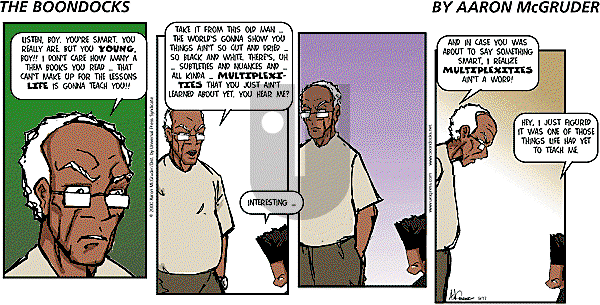 The Boondocks on Sunday April 20, 2008 Comic Strip