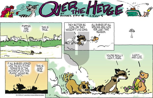 Over the Hedge on Sunday January 27, 2019 Comic Strip