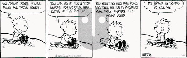 Calvin and Hobbes - Friday January 27, 2012 Comic Strip