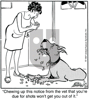 Marmaduke on Monday July 24, 2000 Comic Strip
