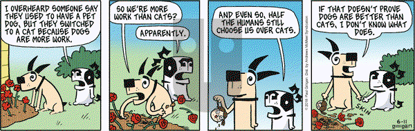 Pooch Cafe on Monday June 11, 2018 Comic Strip