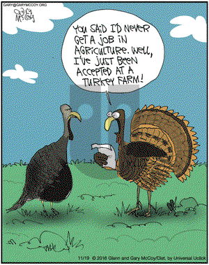 The Flying McCoys on Saturday November 19, 2016 Comic Strip