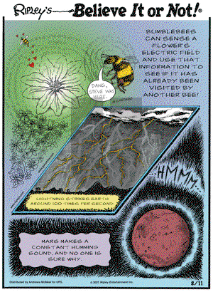 Ripley's Believe It or Not on Wednesday August 11, 2021 Comic Strip
