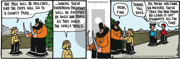 Overboard on Tuesday January 2, 2018 Comic Strip