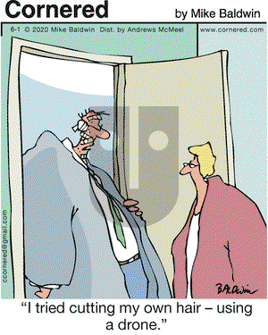 Cornered on Monday June 1, 2020 Comic Strip