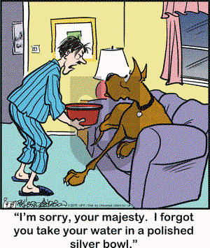 Marmaduke on Tuesday September 8, 2015 Comic Strip