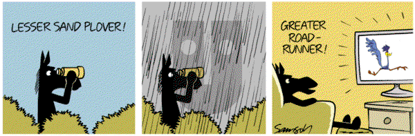 Dark Side of the Horse on Tuesday September 3, 2013 Comic Strip