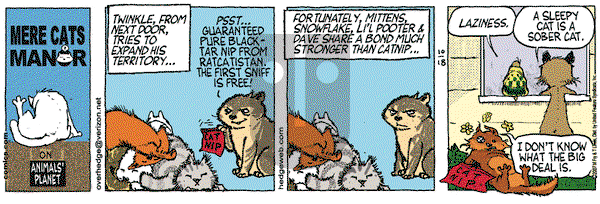 Over the Hedge on Thursday October 18, 2007 Comic Strip