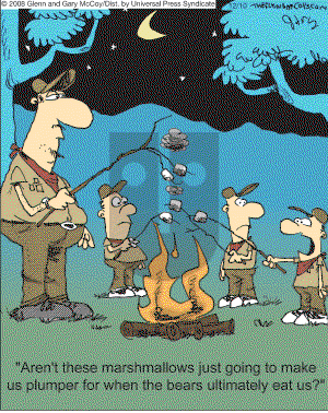 The Flying McCoys on Wednesday December 10, 2008 Comic Strip