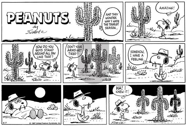 Peanuts on Sunday June 7, 1987 Comic Strip