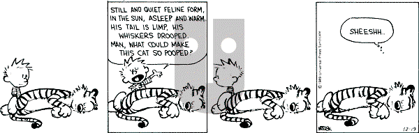 Calvin and Hobbes - Tuesday December 19, 1989 Comic Strip