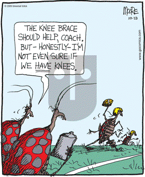 In the Bleachers - Friday October 23, 2009 Comic Strip