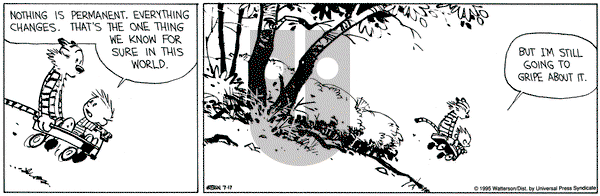 Calvin and Hobbes on Monday July 17, 1995 Comic Strip