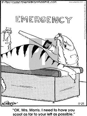 Close to Home - Tuesday November 25, 1997 Comic Strip