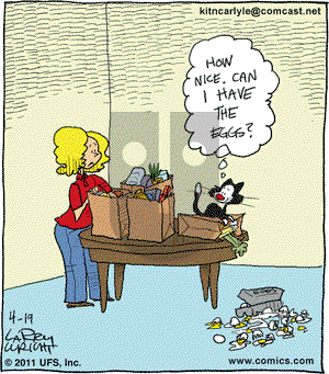 Kit 'N' Carlyle on Tuesday April 19, 2011 Comic Strip