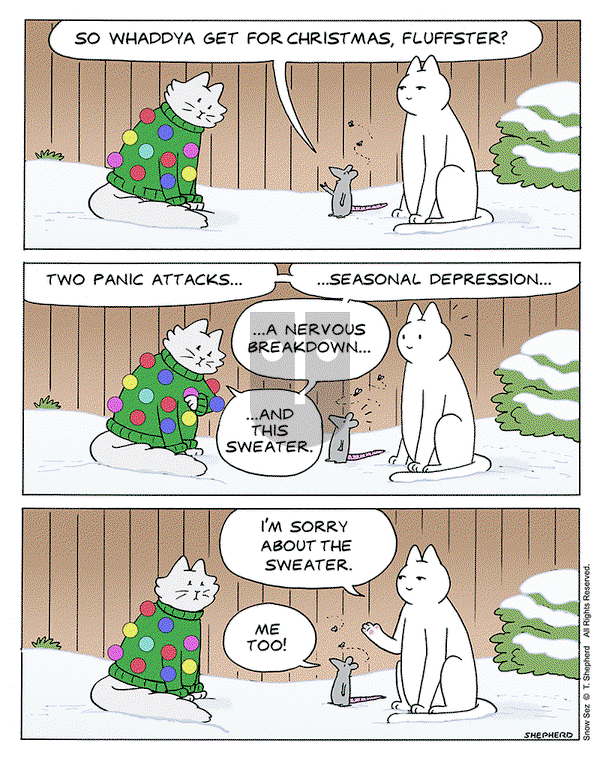 Snow Sez on Saturday December 30, 2023 Comic Strip