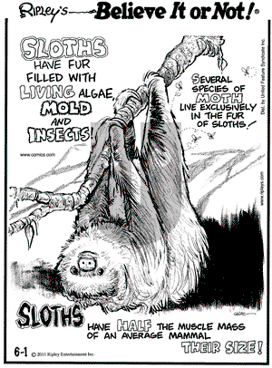 Ripley's Believe It or Not on Wednesday June 1, 2011 Comic Strip