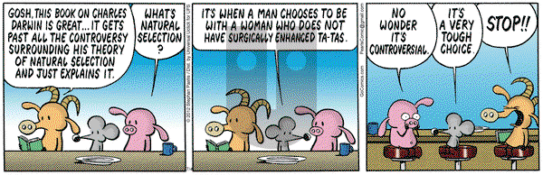 Pearls Before Swine on Wednesday July 4, 2012 Comic Strip