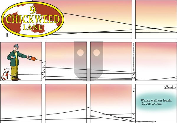 9 Chickweed Lane on Sunday June 12, 2016 Comic Strip
