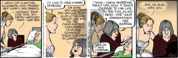 For Better or For Worse - Friday August 29, 2008 Comic Strip