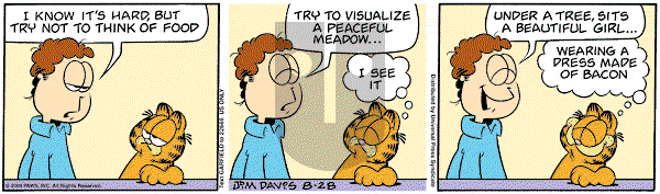 Garfield on Thursday August 28, 2008 Comic Strip