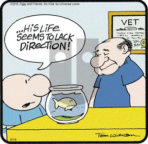 Ziggy on Thursday June 16, 2016 Comic Strip